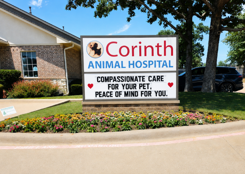 Carousel Slide 1: Our hospital
